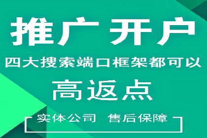 竞价广告的投放策略调整：基于数据反馈的实战案例